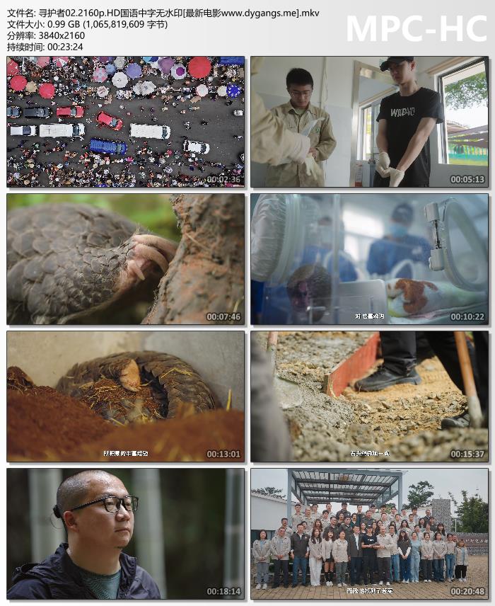 会所勾引啪啪_【星穹铁道宝箱全收集】匹诺康尼/折纸小鸟/王下一桶/次元扑满/战利品/解密/金表钞/全网最贴心的星穹铁道宝箱攻略